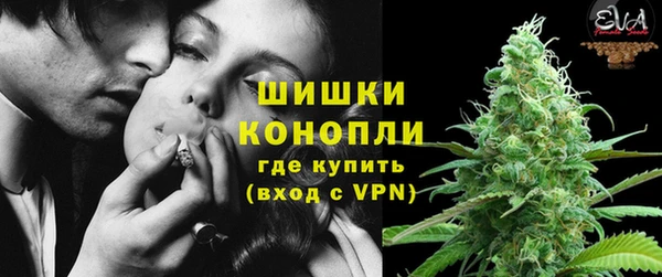ГАЛЛЮЦИНОГЕННЫЕ ГРИБЫ Навашино