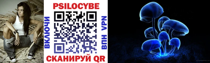 где купить наркоту  Переславль-Залесский  Галлюциногенные грибы прущие грибы 